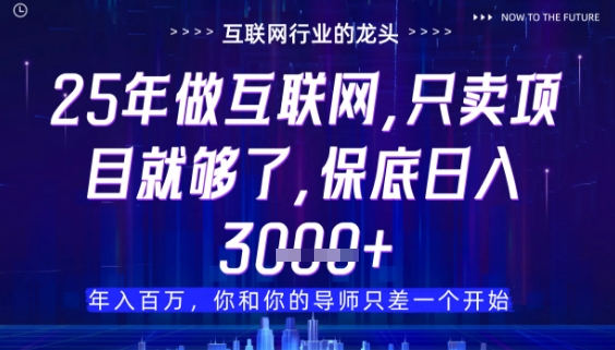 什么！25年你还在找项目做？风口早就变了，卖项目才是稳挣不赔【揭秘】-零界教育