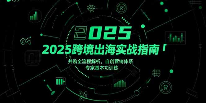 （15503期）2025跨境出海实战指南，并购全流程解析，自创营销体系，专家基本功训练-零界教育