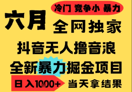 25年6月高爆抖音无人直播最新撸音浪掘金项目，小白可做，无脑日入1k+，门槛低可批量矩阵【揭秘】-零界教育