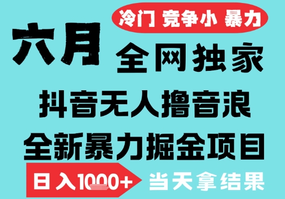 2025年6月高爆抖音无人直播最新撸音浪掘金项目，无脑日入1k+，低门槛小白可做，可矩阵放大【揭秘】-零界教育