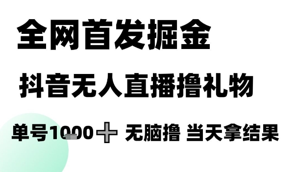 全网首发掘金抖音无人直播撸礼物，单号1k +无脑撸，当天拿结果【揭秘】-零界教育
