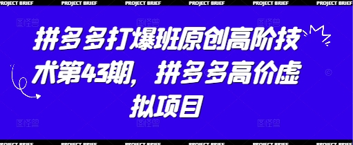 拼多多打爆班原创高阶技术第43期，拼多多高价虚拟项目-零界教育