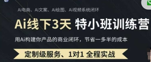 AI实操培训第20-21期线下，0基础保姆级教程，3月最新整理，企业获客、降本增效、打造超级个体-零界教育