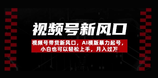 视频号带货新风口，AI模版暴力起号，小白也可以轻松上手，月入过W-零界教育