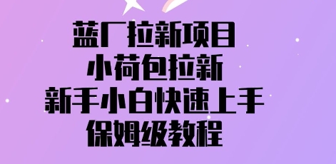蓝厂拉新项目，小荷包拉新，新手小白快速上手，保姆级教程-零界教育