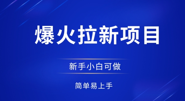 爆火拉新项目，有手就行，小白轻松入门，日入1张拉新整套流程-零界教育