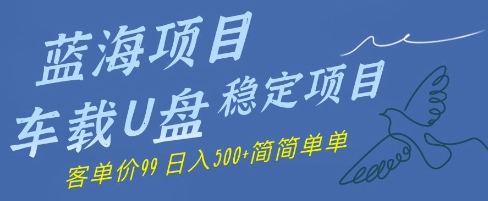 蓝海项目车载U盘稳定项目，挣的就是信息差，客单价99，日入几张简简单单-零界教育