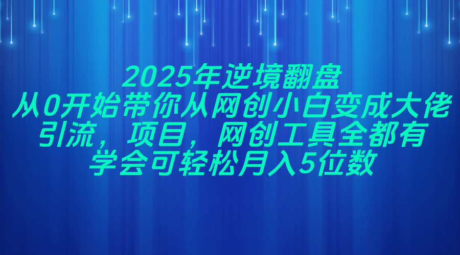 （14473期）2025年逆境翻盘，从0开始带你从网创小白变成大佬，引流，项目，网创工...-零界教育