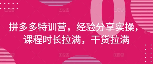 拼多多特训营，经验分享实操，课程时长拉满，干货拉满(更新25年4月)-零界教育