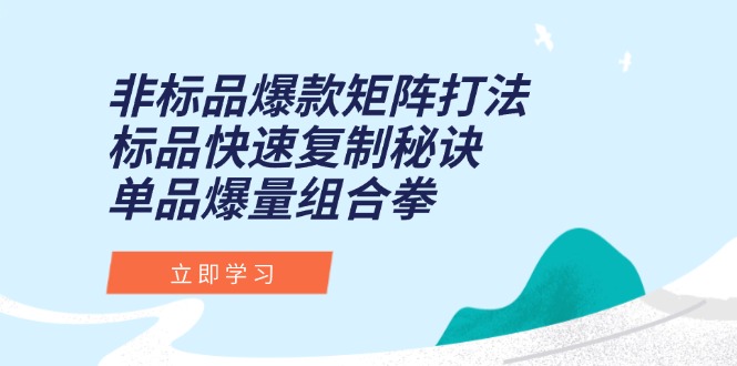 （15068期）非标品爆款矩阵打法，标品快速复制秘诀，单品爆量组合拳-零界教育