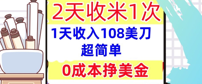 0成本挣美金，超简单，1天收入108刀，2天收米一次，实战教程，首次公开-零界教育
