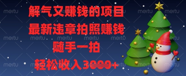 解气又挣钱的项目，最新违章拍照挣钱，随手一拍，轻松收入数张【揭秘】-零界教育